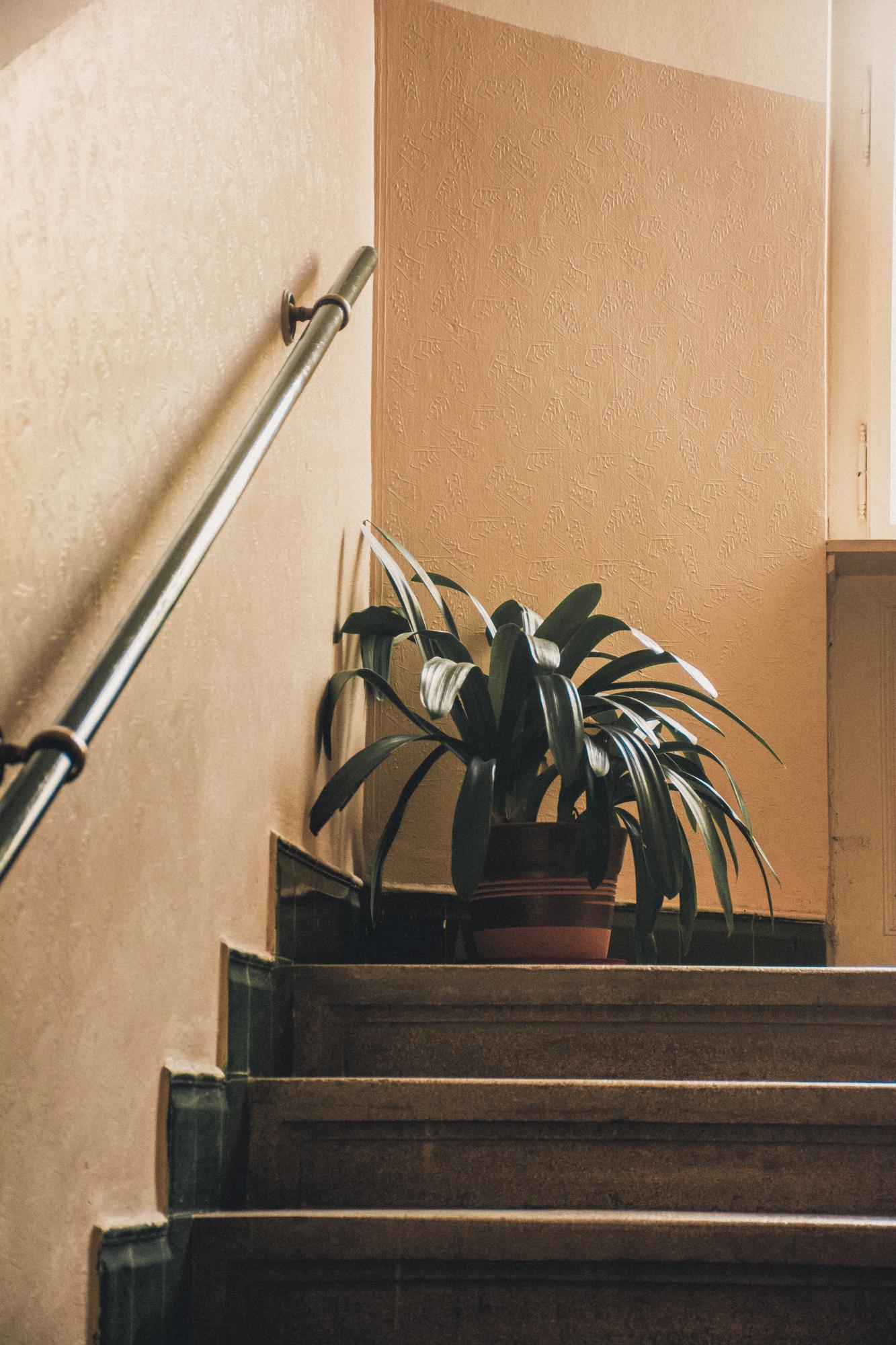 Tur virtual scurt al apartamentului
